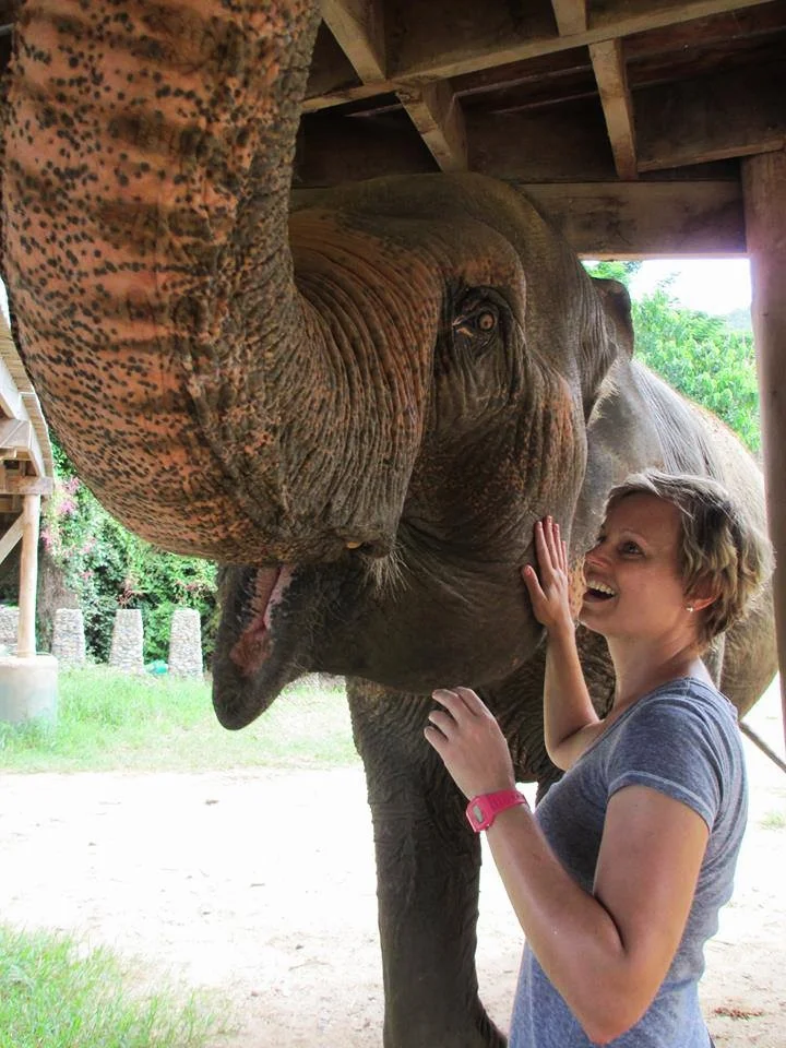 Elephant Nature Park