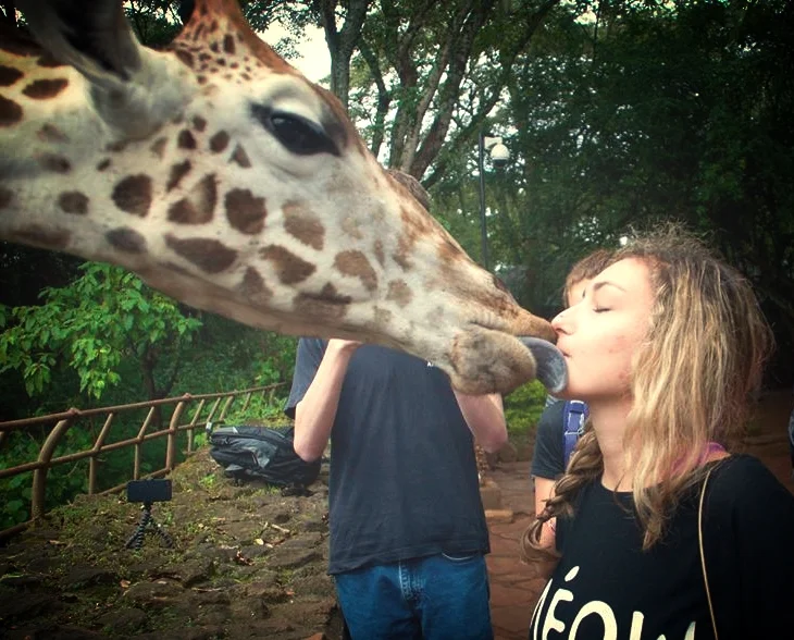 Giraffe Kiss