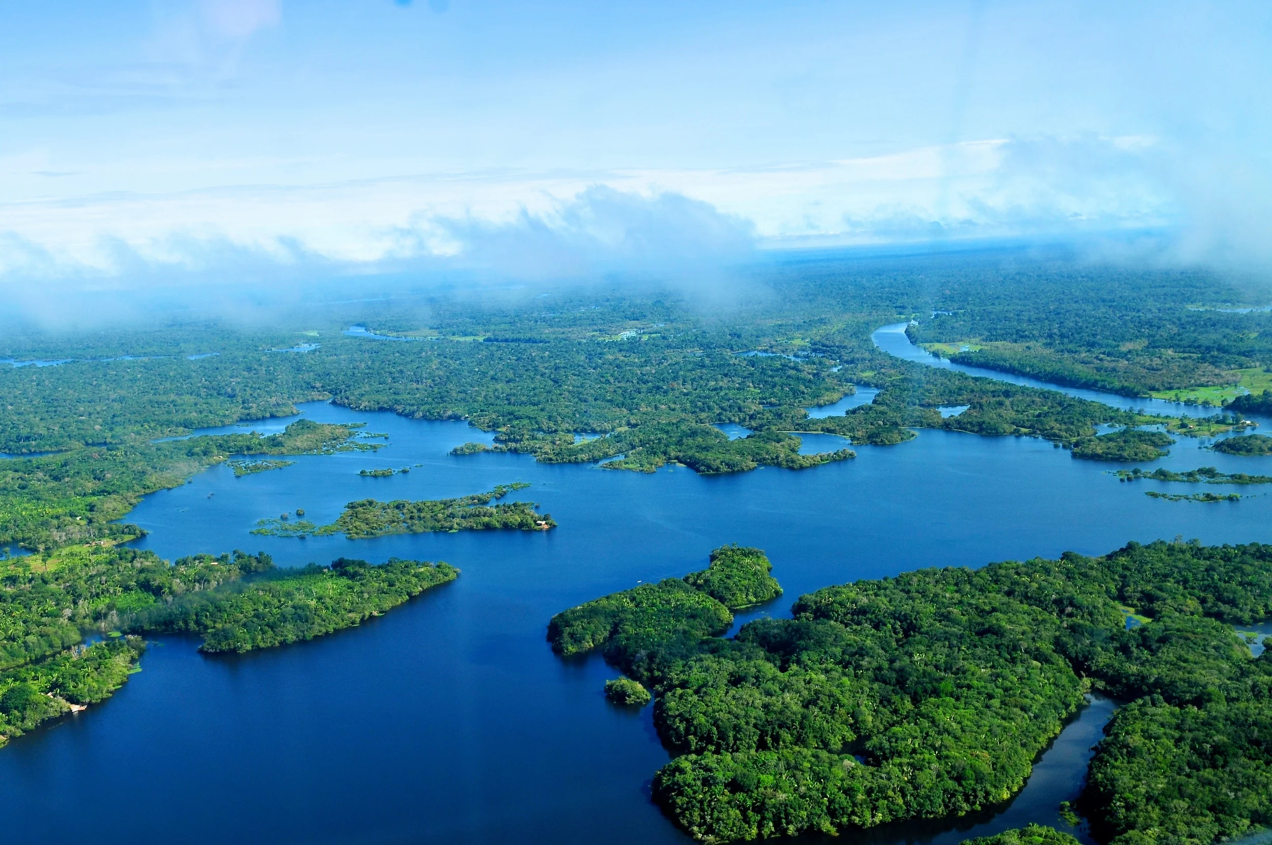 Aerial view of the amazon