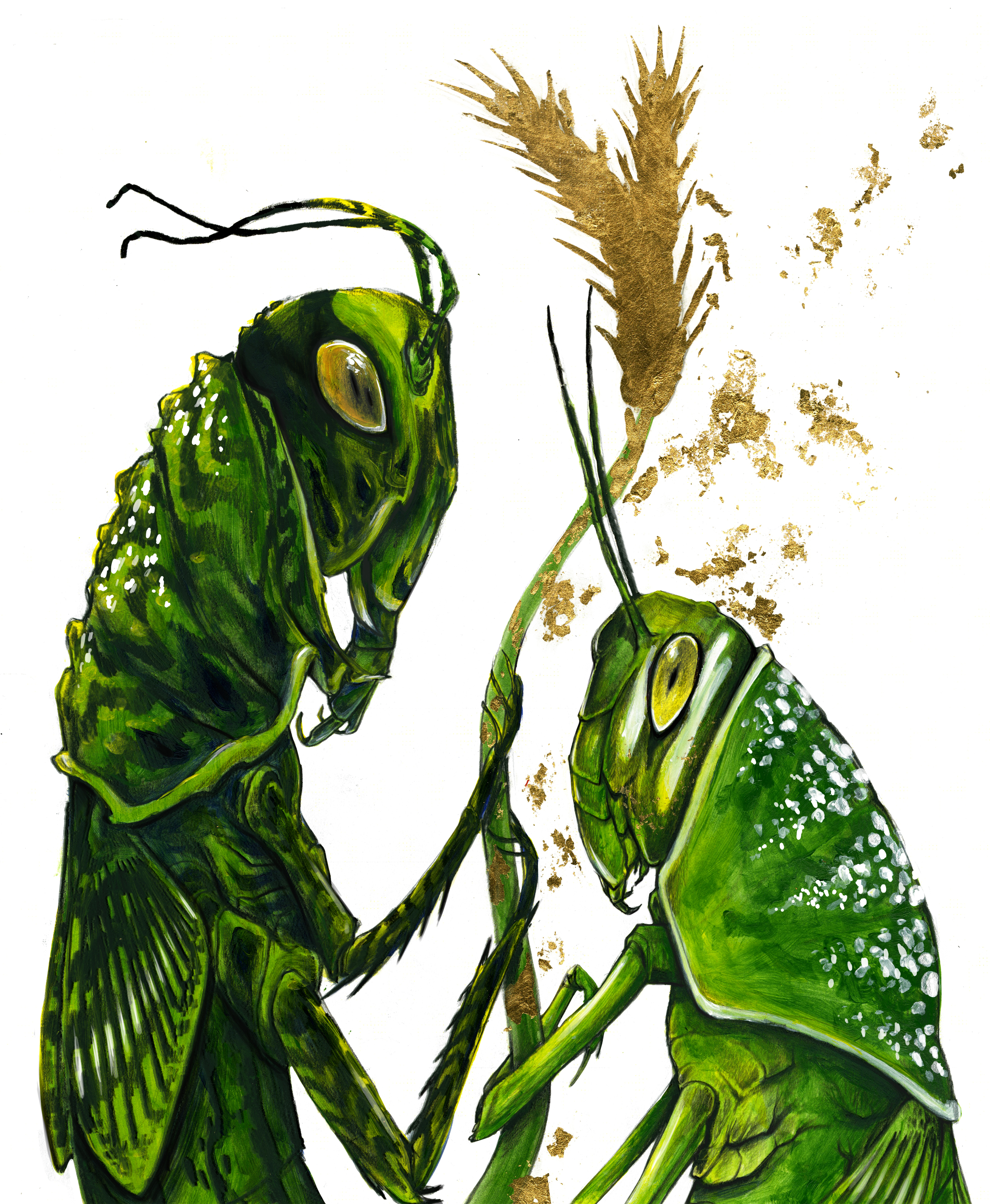 When Grasshoppers Go Biblical: Serotonin Causes Locus to Swarm- Scientific American