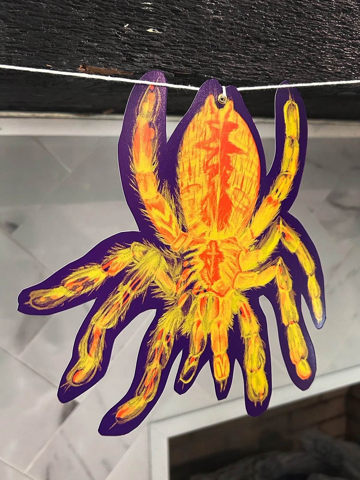 spiderbanner.jpg