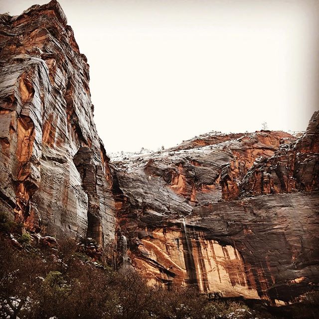 Stopped at Zion National Park on our way to Park City for @slamogram. A film I scored, @cortezfilm, was accepted and will screen tomorrow night at 7:45. So excited to be here for it! This place is called Weeping Rock and it was amazing and MASSIVE an