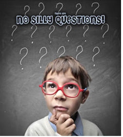 NO SILLY QUESTIONS