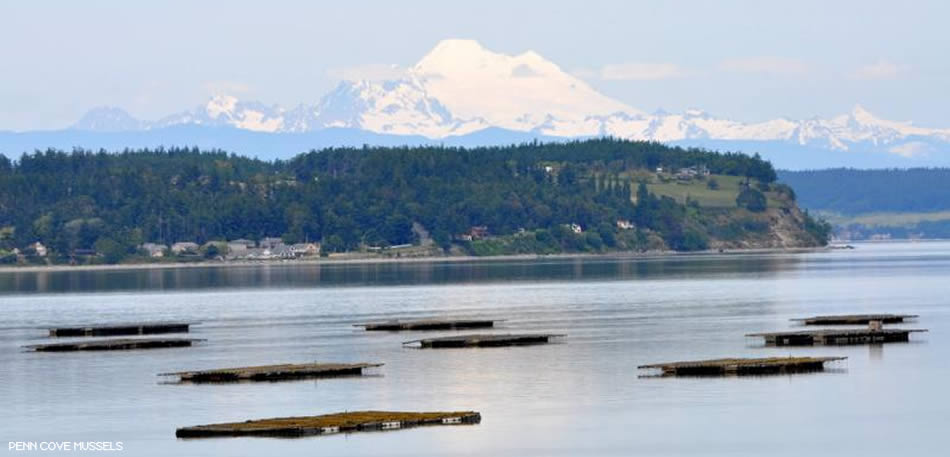 penn_cove.jpg