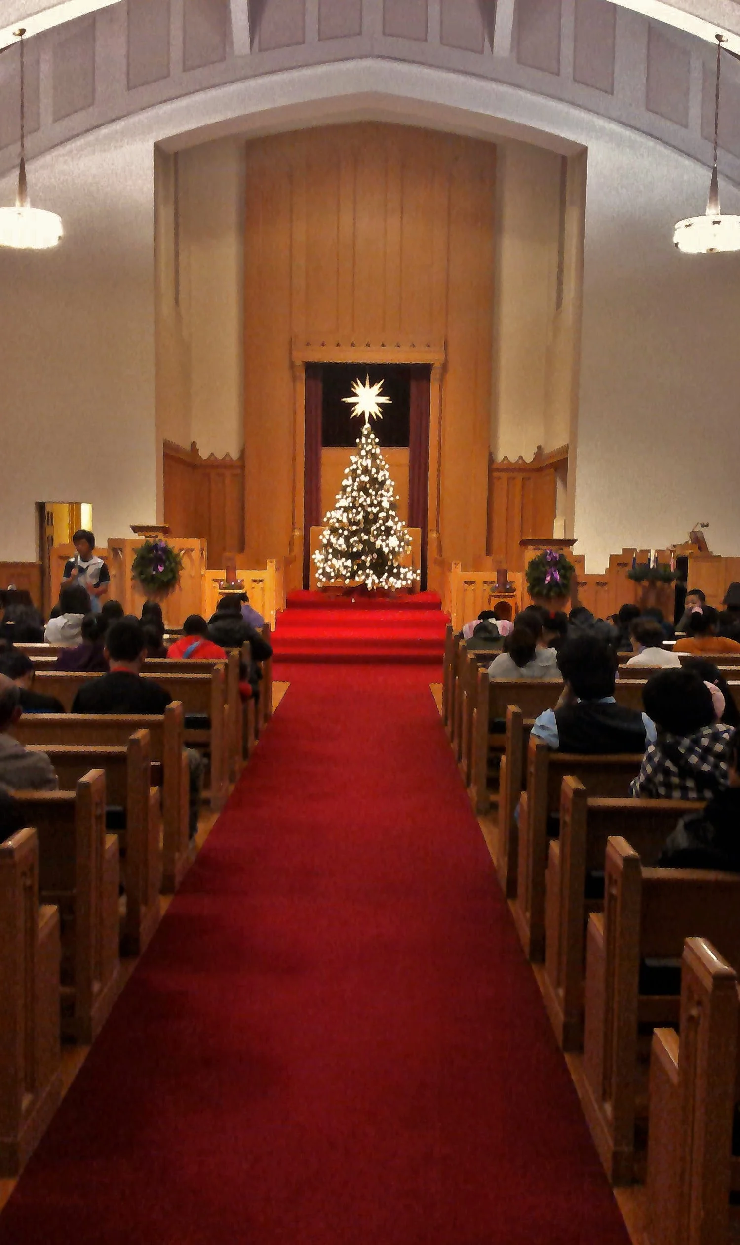 WIN_20141130_190100 (2).JPG