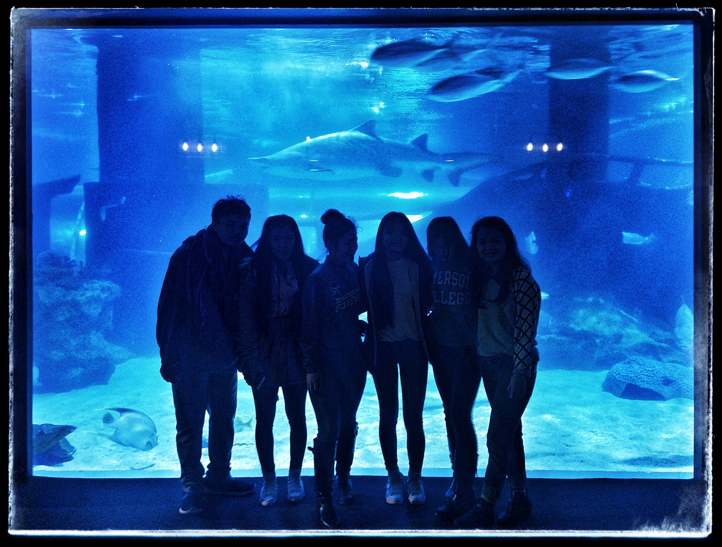 20190322_132403-01.jpeg