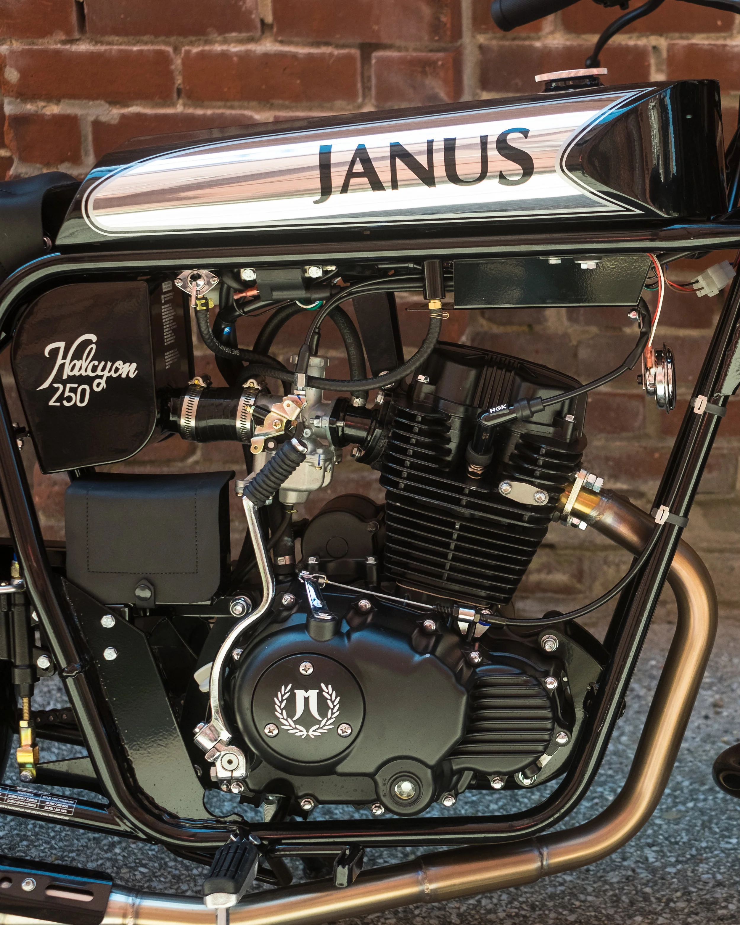 Detail of the Janus 250 engine.