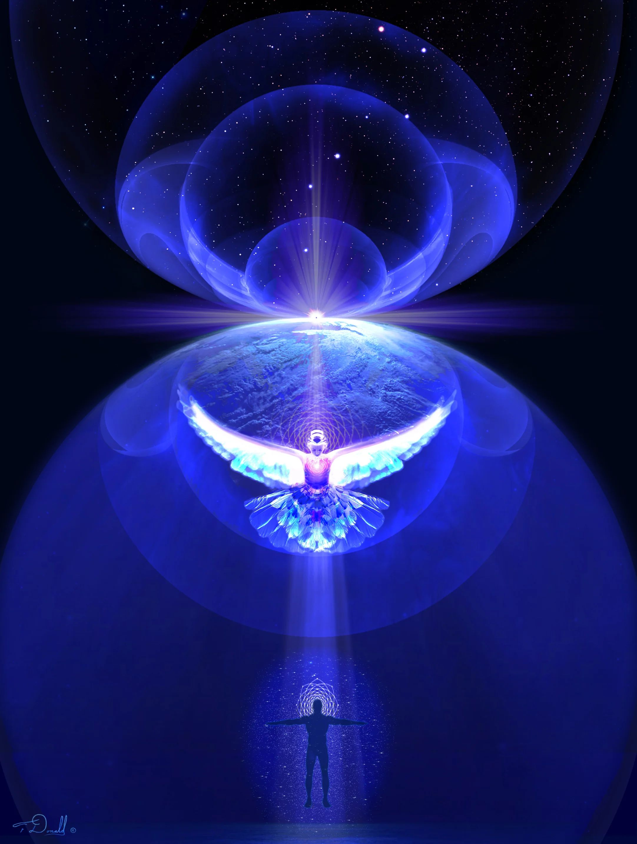 Image by Francis Donald
