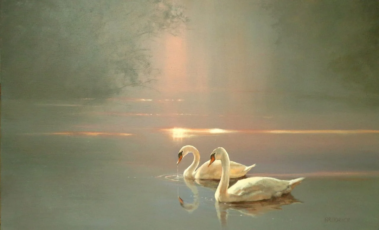 The Swan ~ an esoteric symbol for “the Initiate”