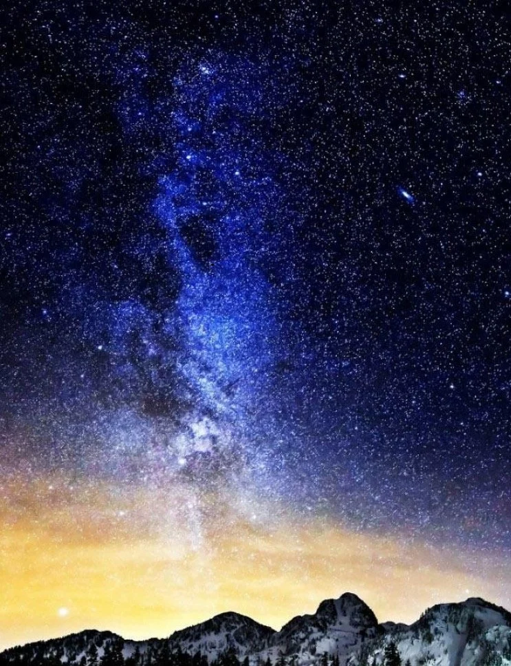 nature image-cropped.jpg