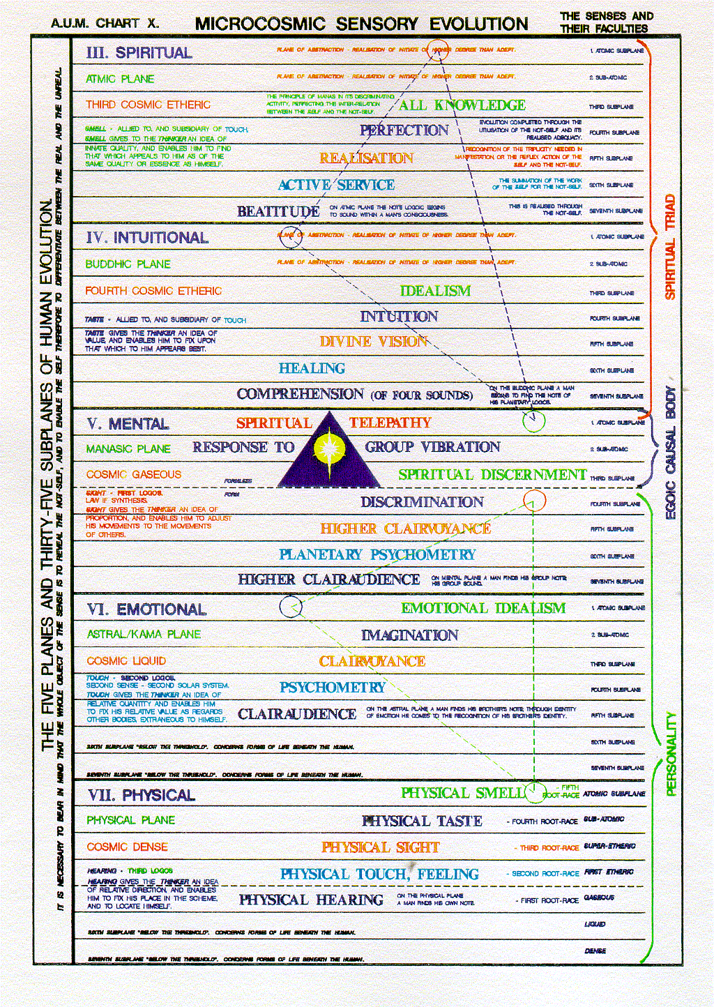 All Planes and Faculties-AUM Chart 10.gif