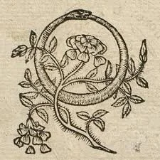 images Ouroboros.jpg
