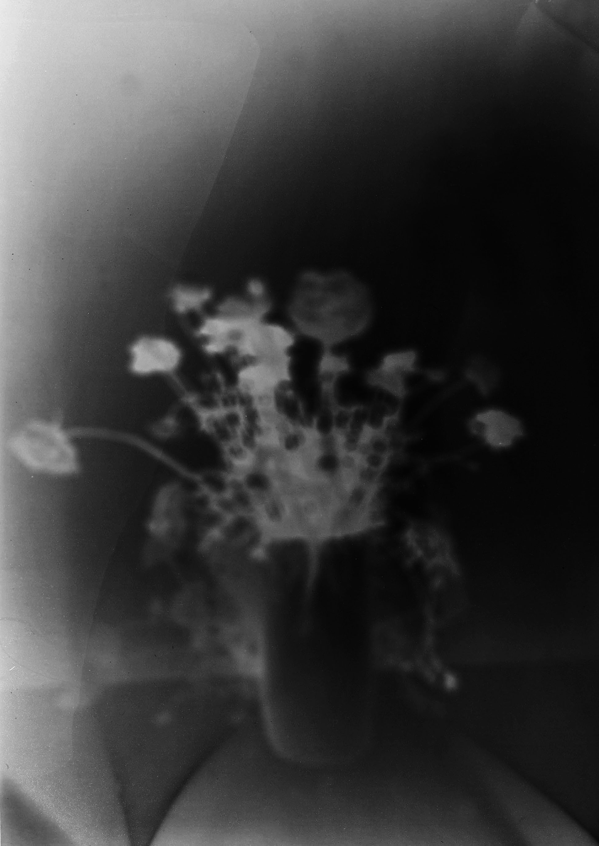 'Blumen II', 2011/15, Pinhole photograph, laser-print on 180gsm cartridge paper, 12 x 18 cm