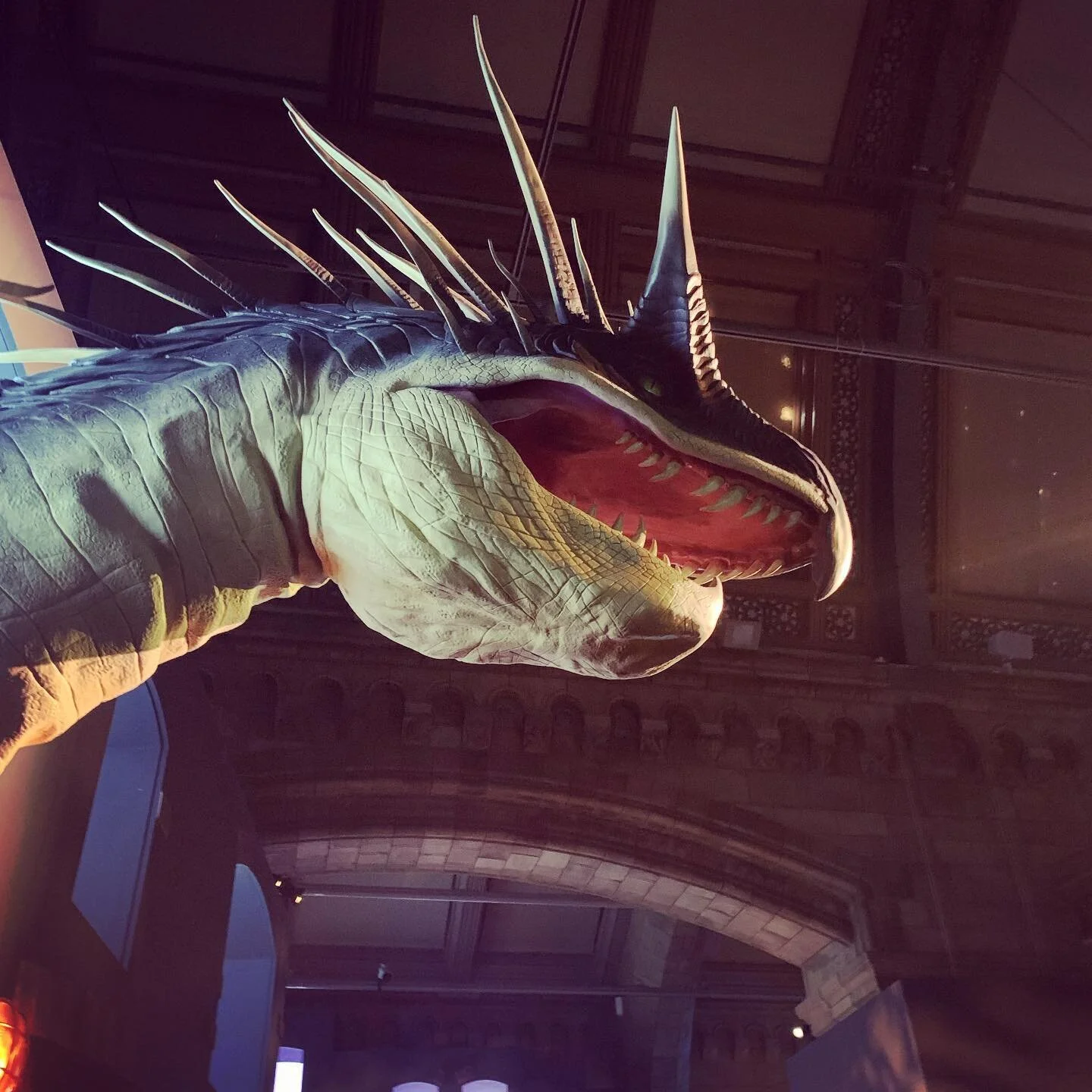 Fantastic beast #fantasticbeastsandwheretofindthem #fantasticbeasts #naturalhistorymuseum #saturdayvibes #londonmuseums #artcatwalk