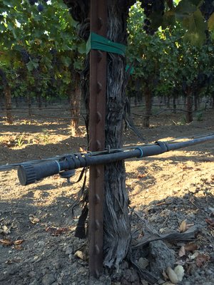 Grapefield Posts Metal Posts — CDOW Wholesale
