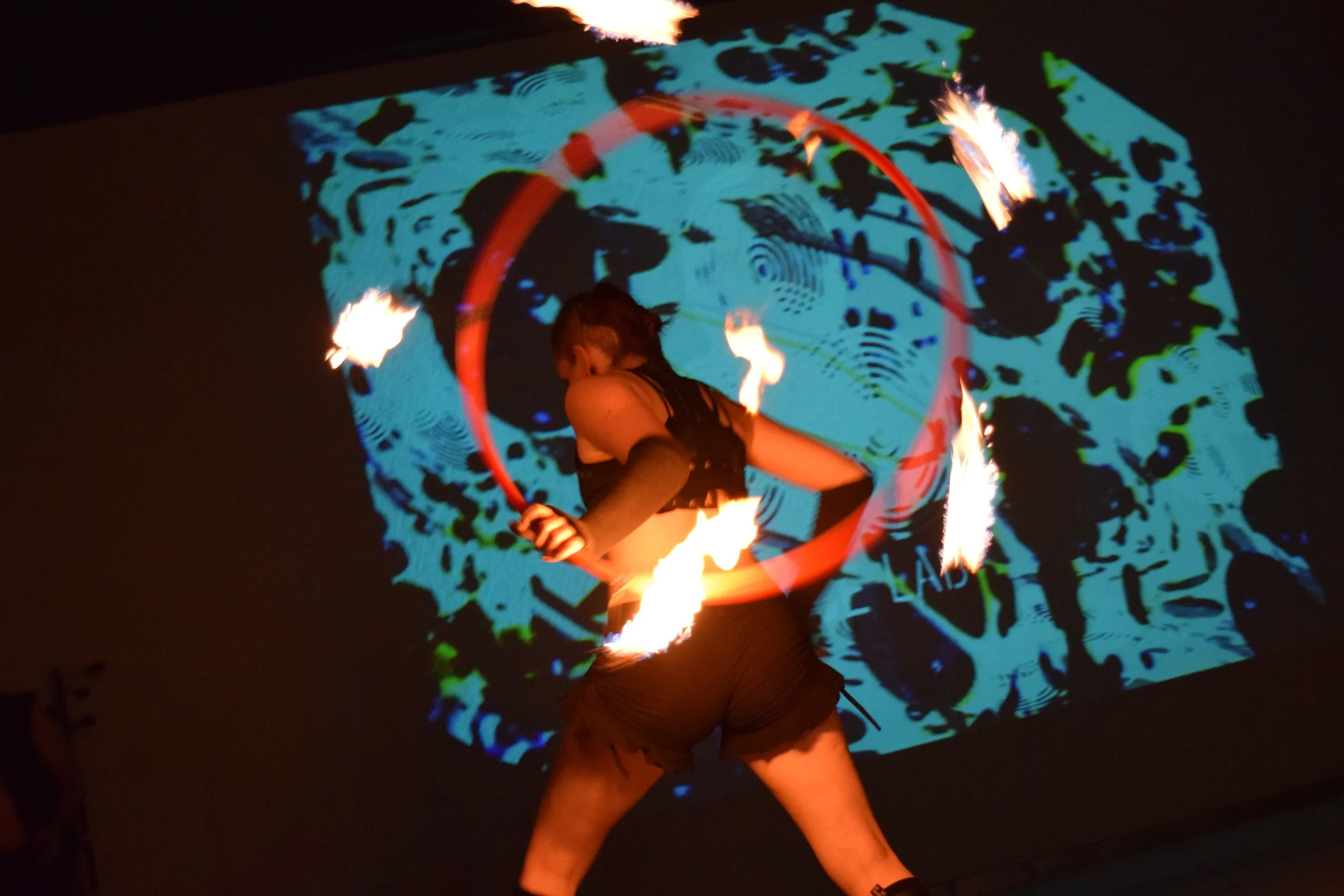 DSC_0736.jpg