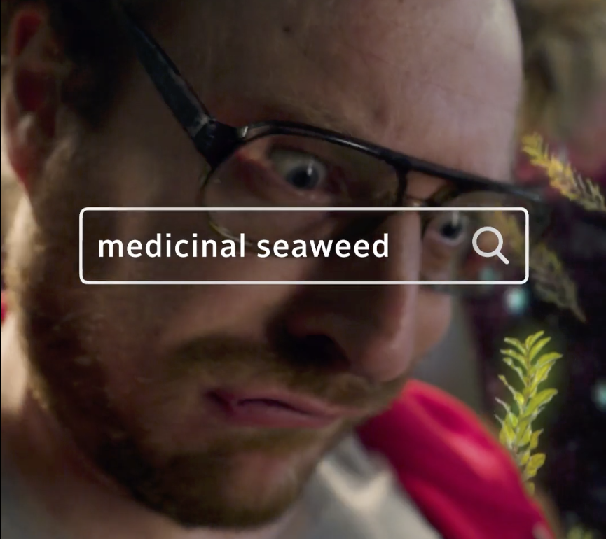 Screen Shot 2018-08-06 at 7.26.52 PM.png