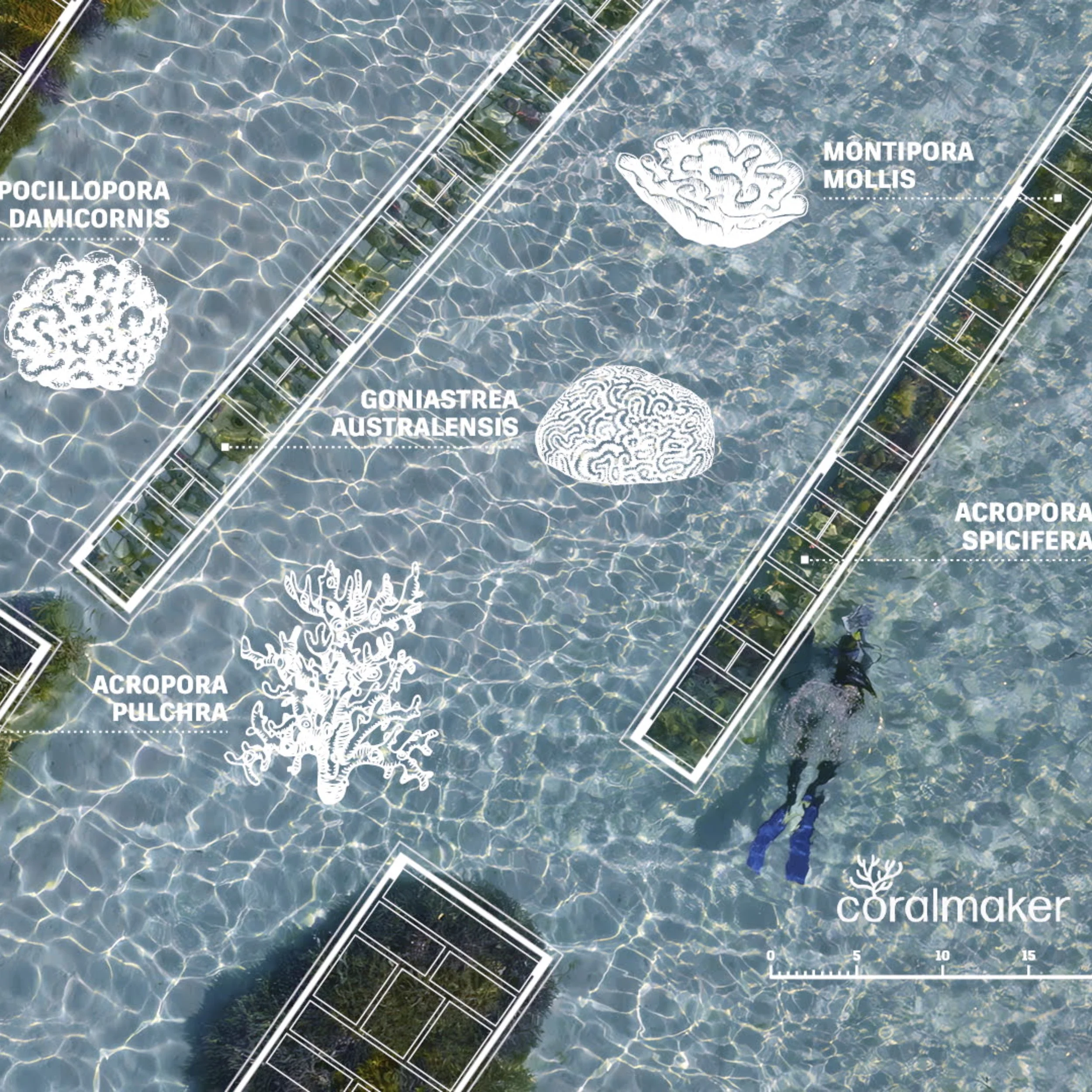 AUTODESK + Coral Maker