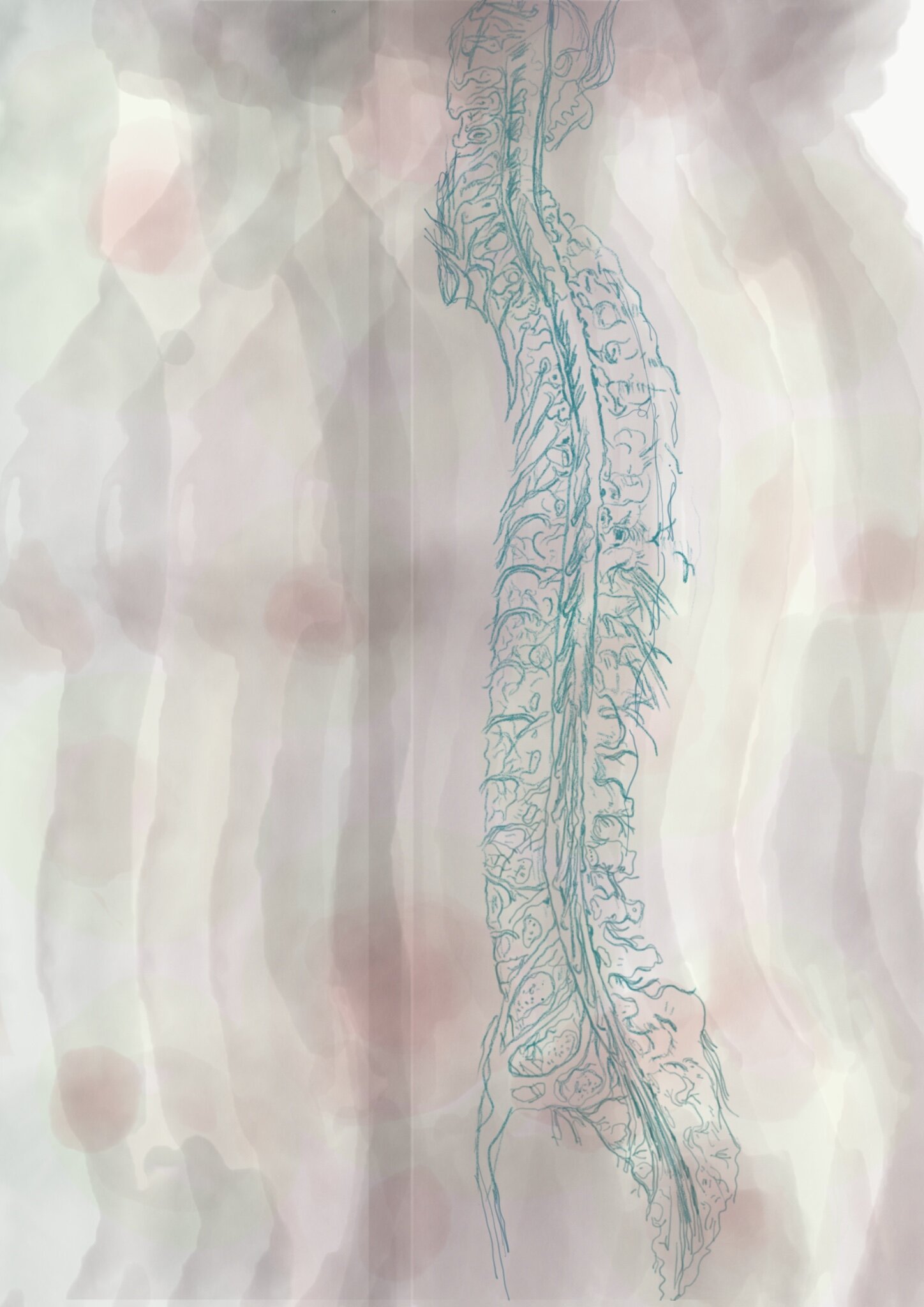 The Trembling. Drawing my spine, in which I become transparent to myself.