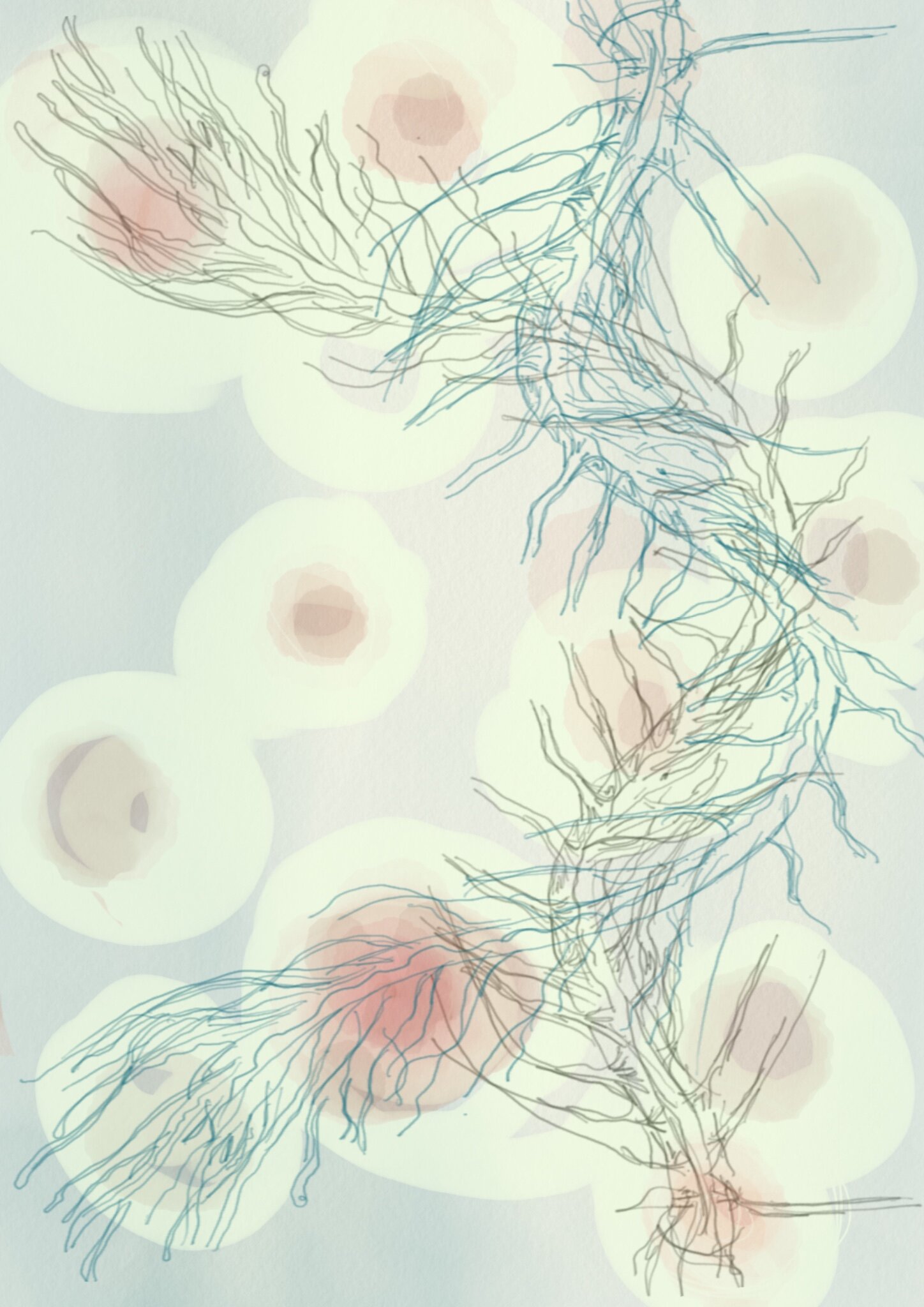 The Trembling. Drawing my spine, spinal cord.