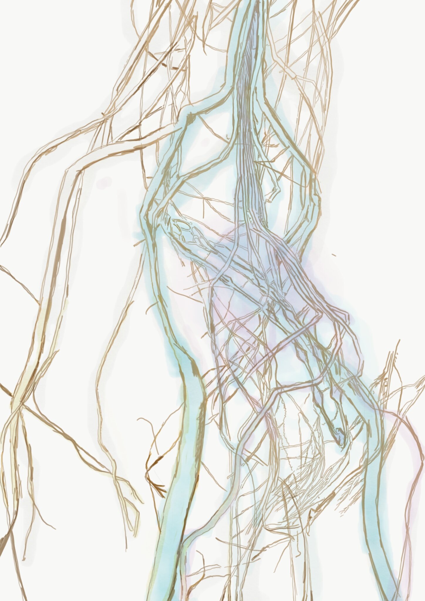 The Trembling, my poor beautiful nerves