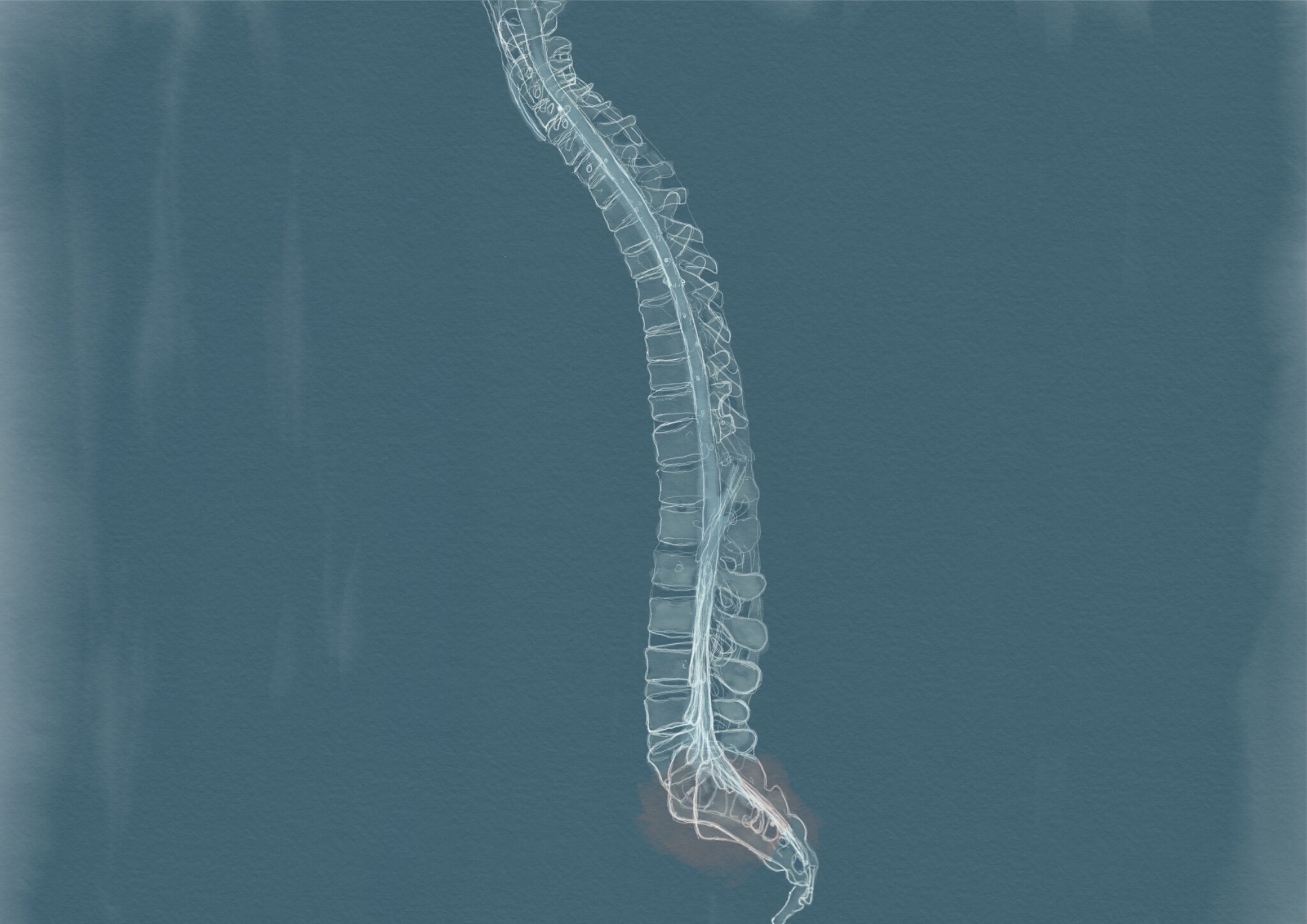 The Trembling, a love letter to my spine in which I become transparent to myself