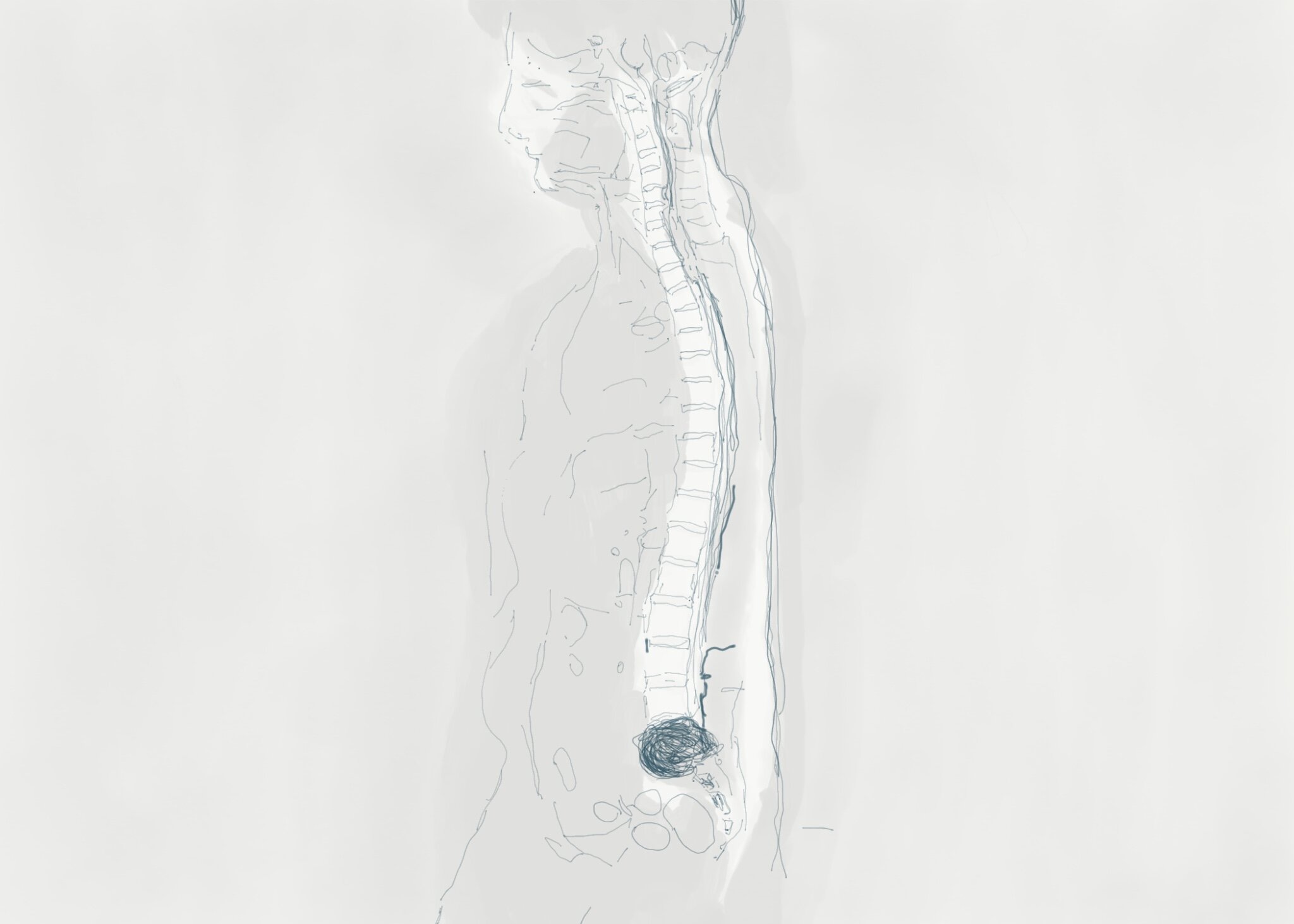 The Trembling, a love letter to my spine