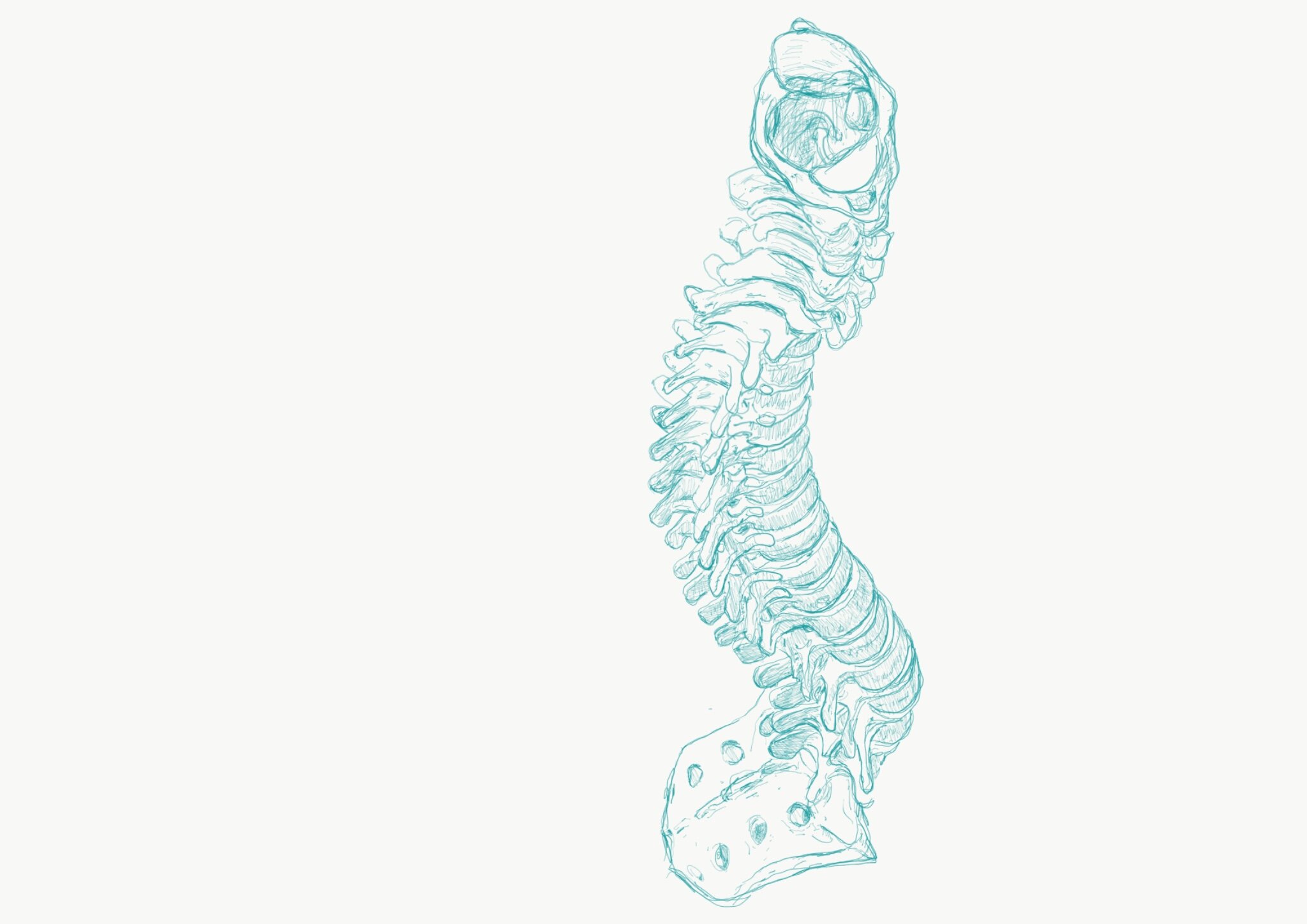 The Trembling, spine drawing