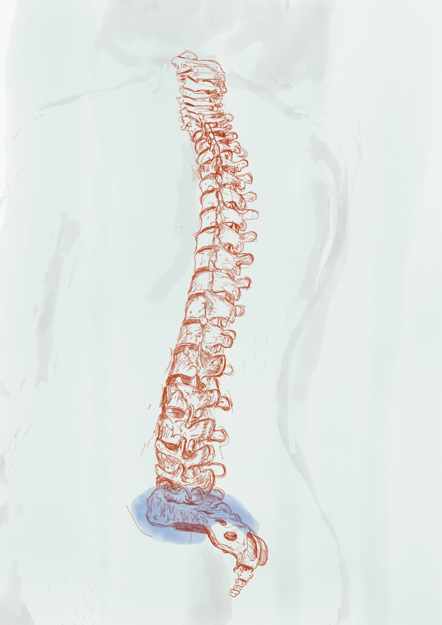 The Trembling, a love letter to my spine in which I become transparent to myself