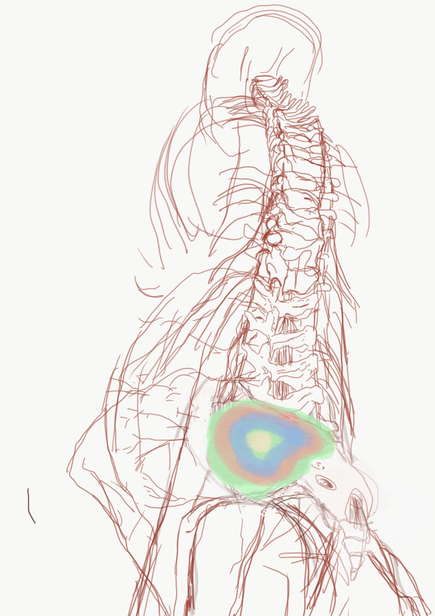 The Trembling, drawing my spine (Baboon)
