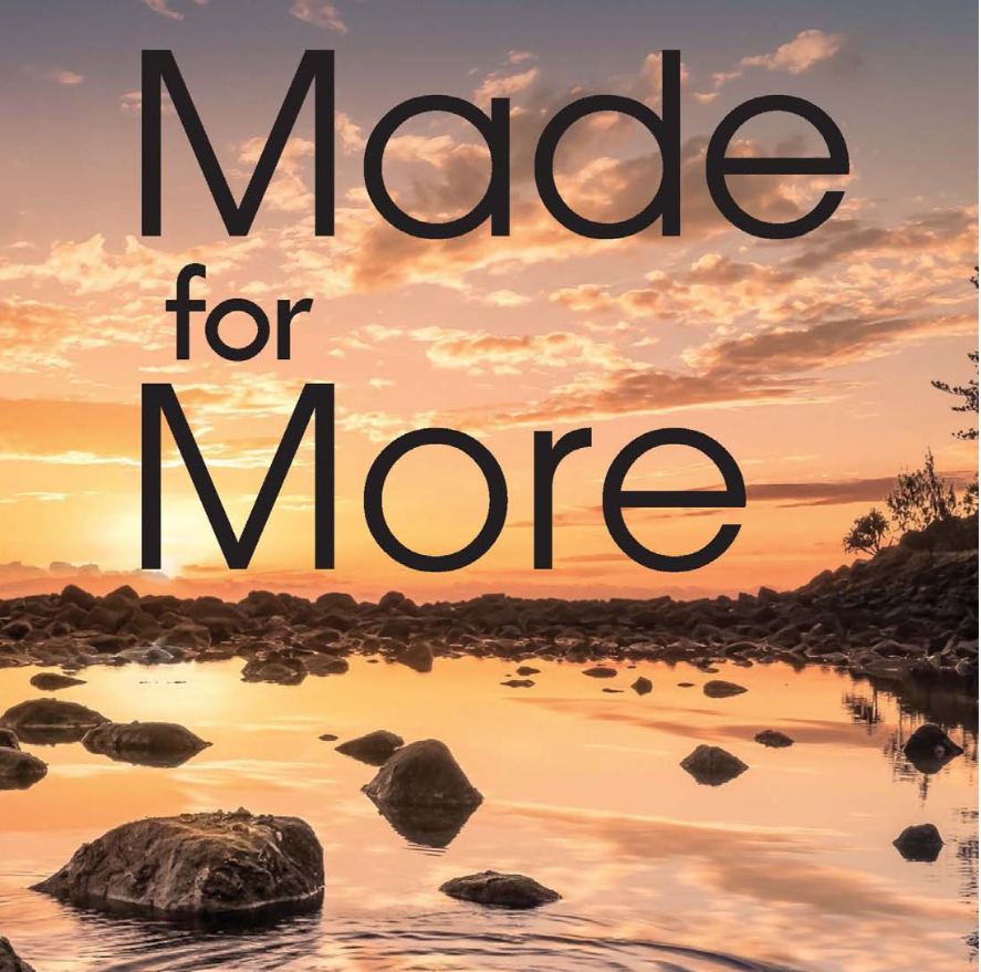 MFM Cover 2.png