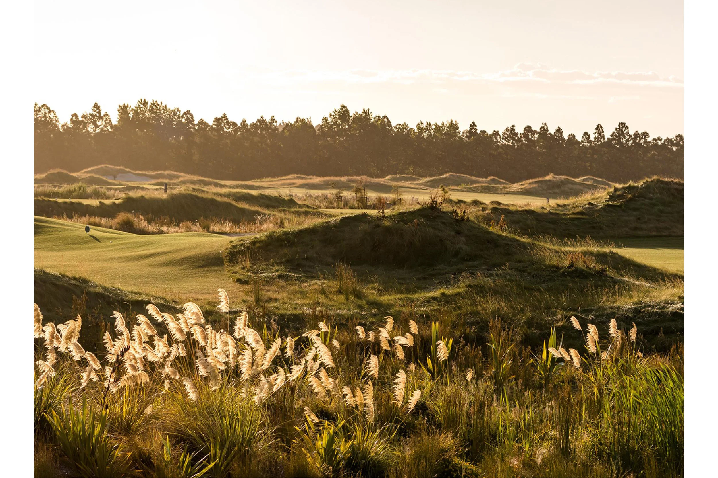Windross Farm Golf Course Auckland New Zealand