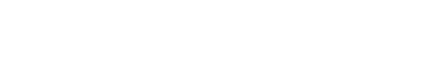 101stNZOpen.png