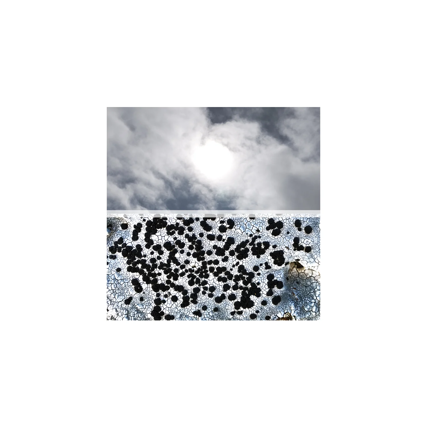 horizon no.1.jpg
