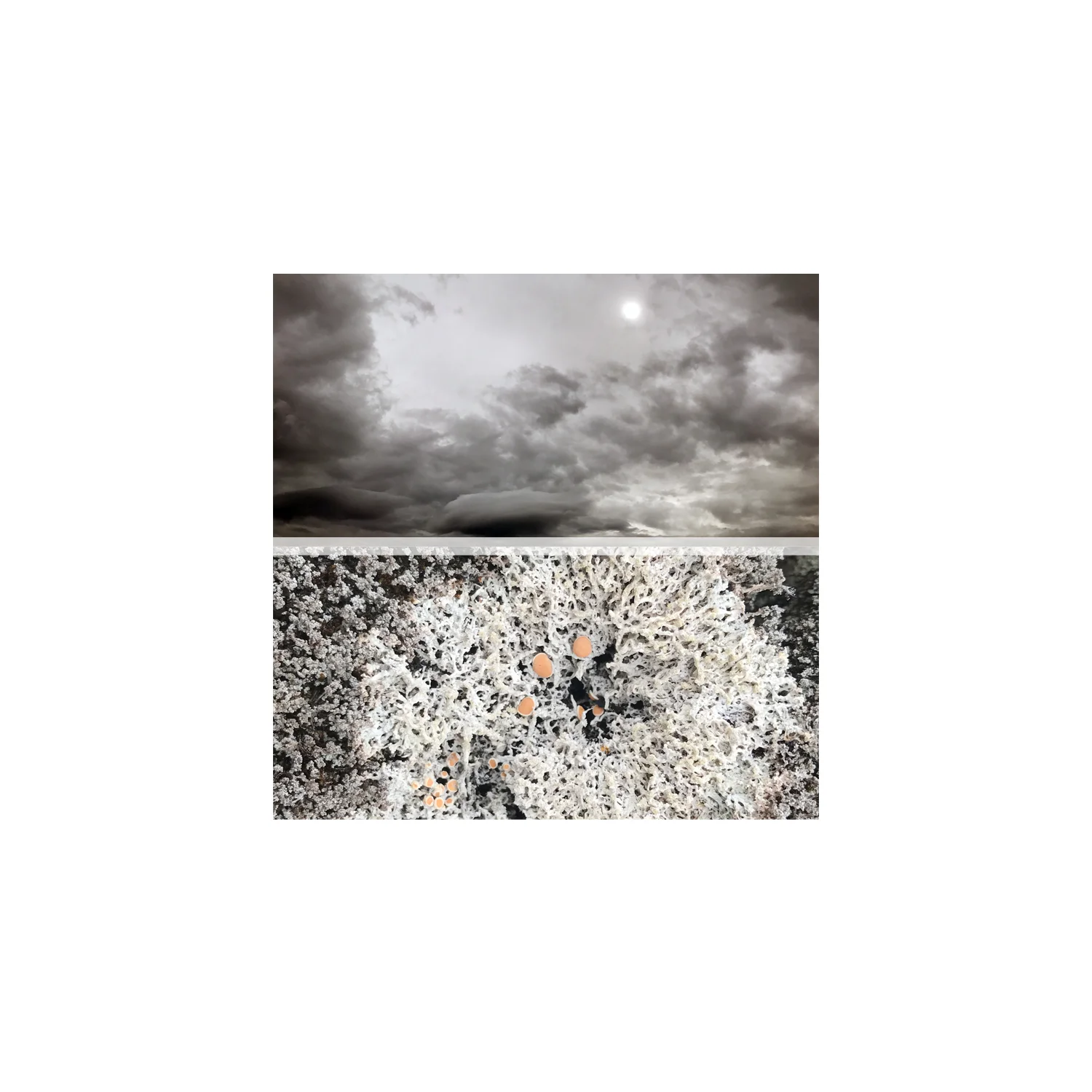 horizon no.3.jpg