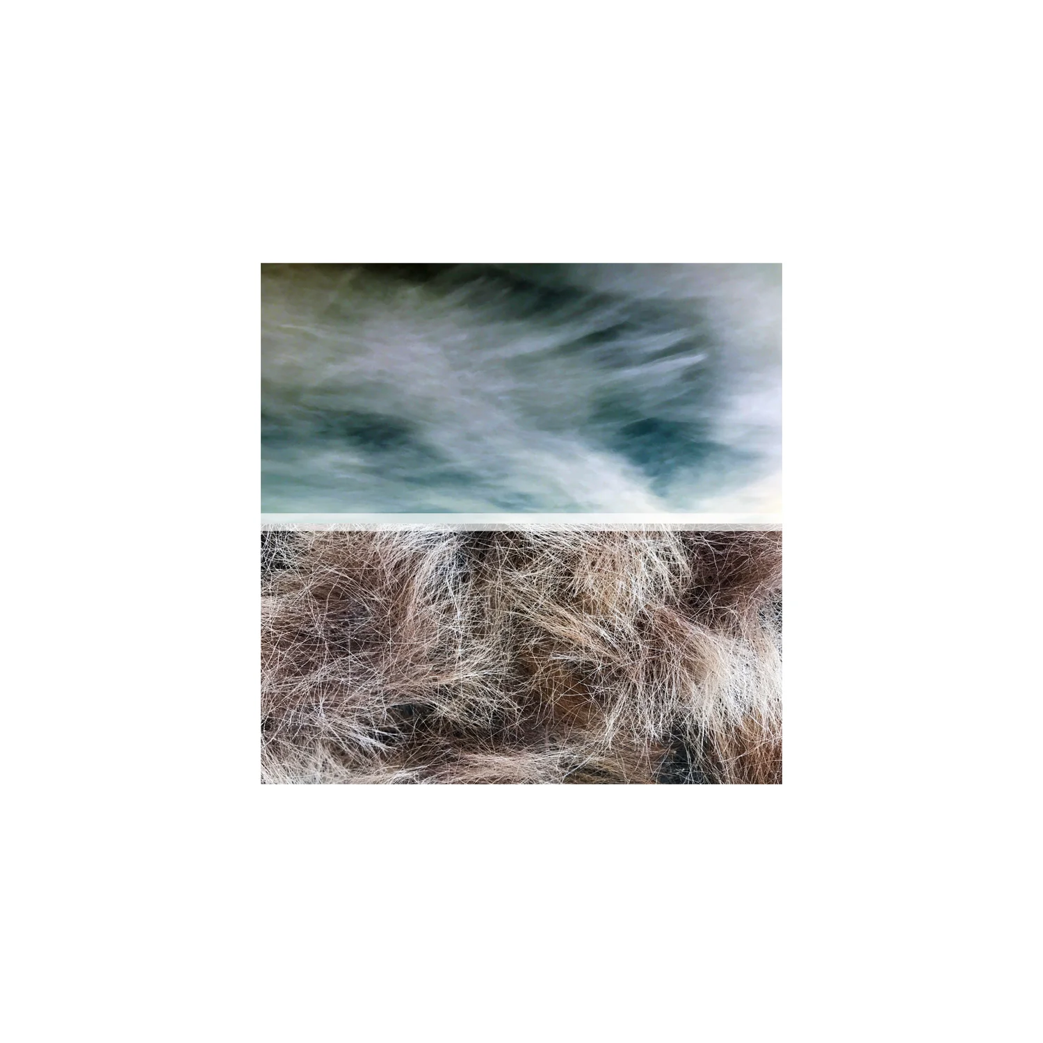 horizon no.2.jpg