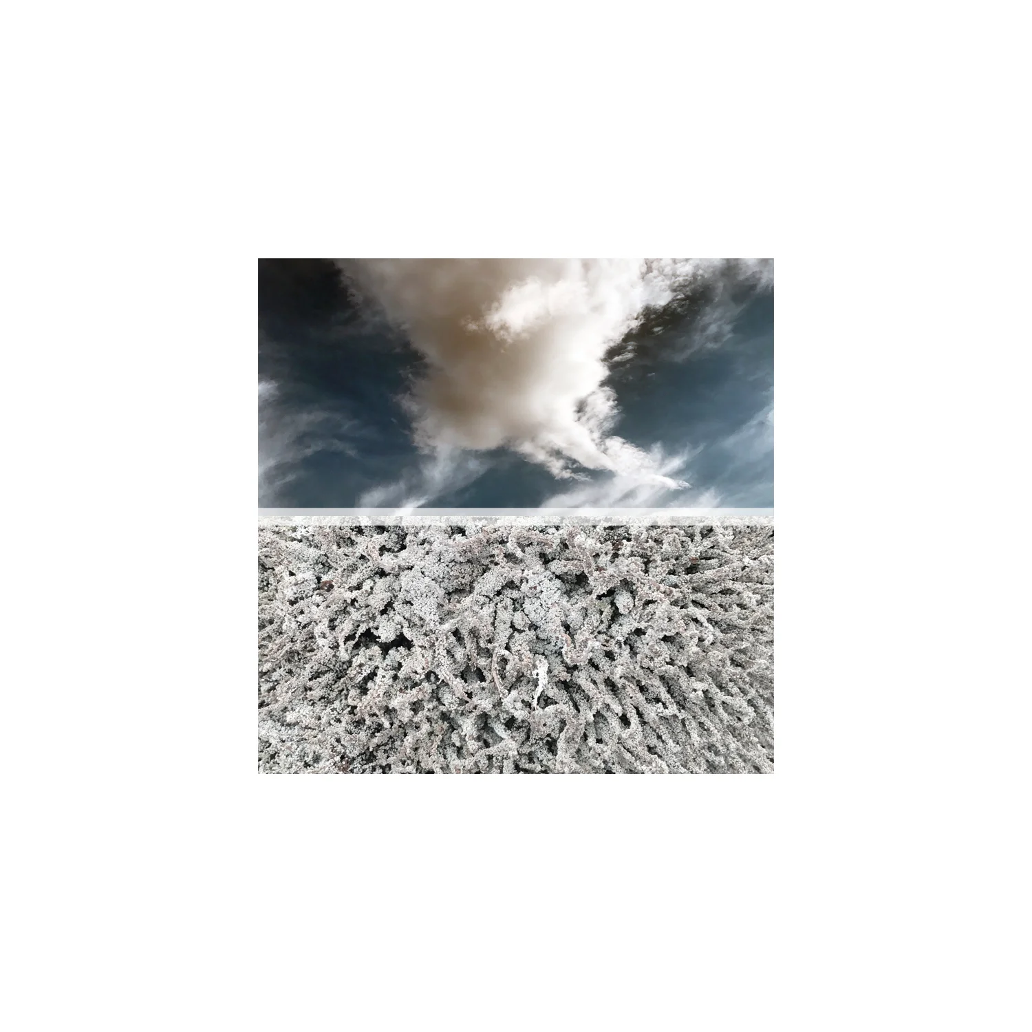 horizon no.4.jpg