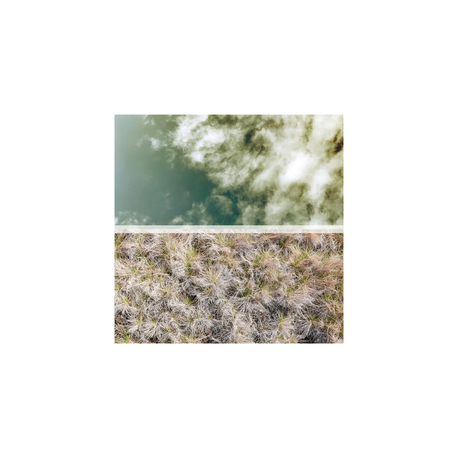 horizon no.5.jpg
