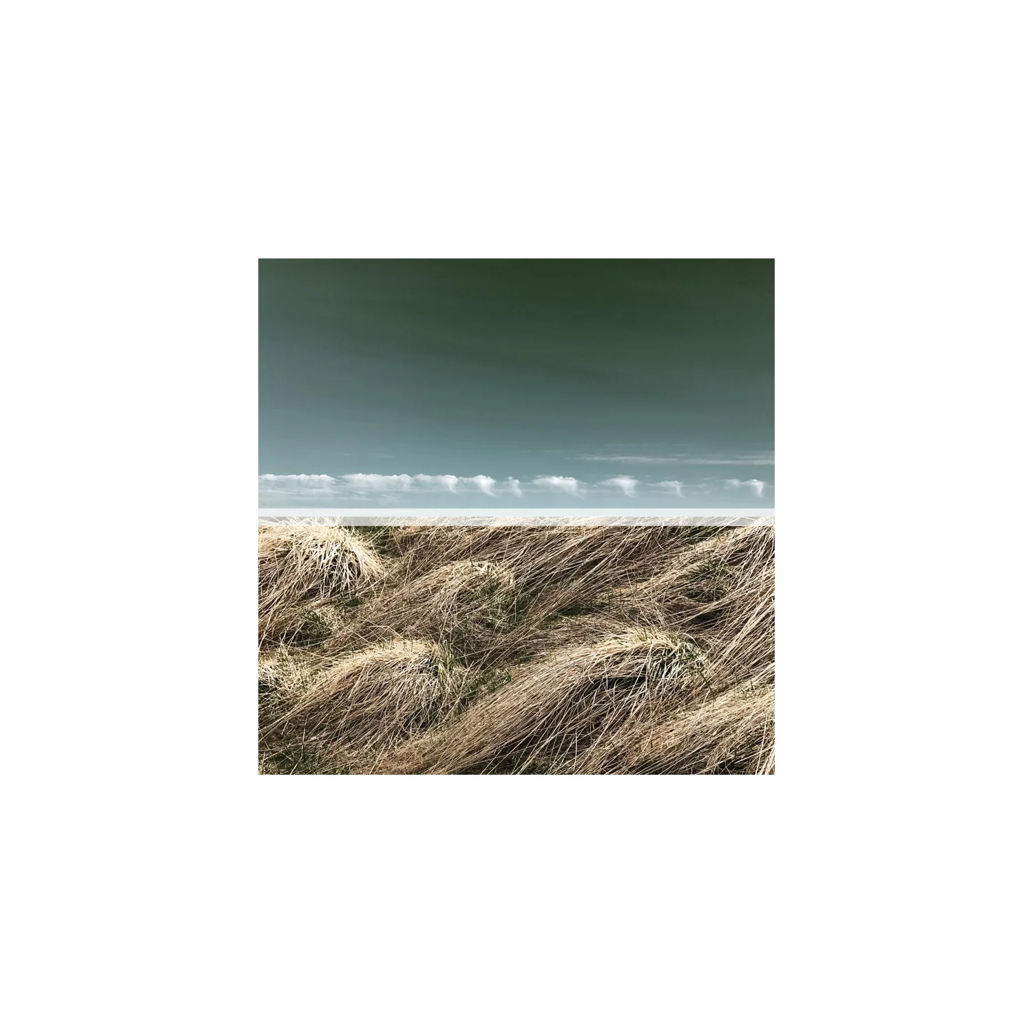 horizon no.6.jpg