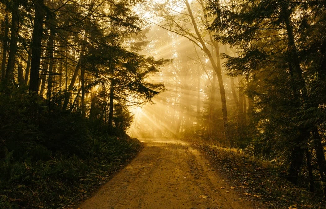 Photo courtesy of Patrick Fore via www.unsplash.com