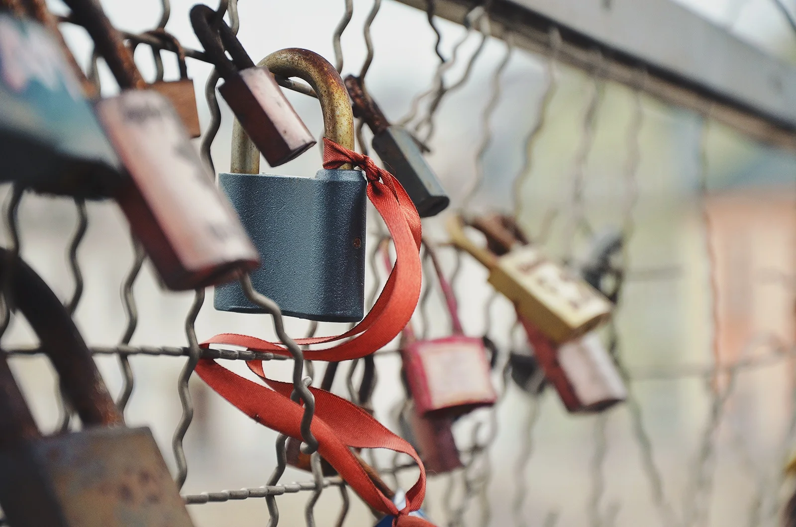 Image courtesy of www.unsplash.com by Sylwia Bartyzel .