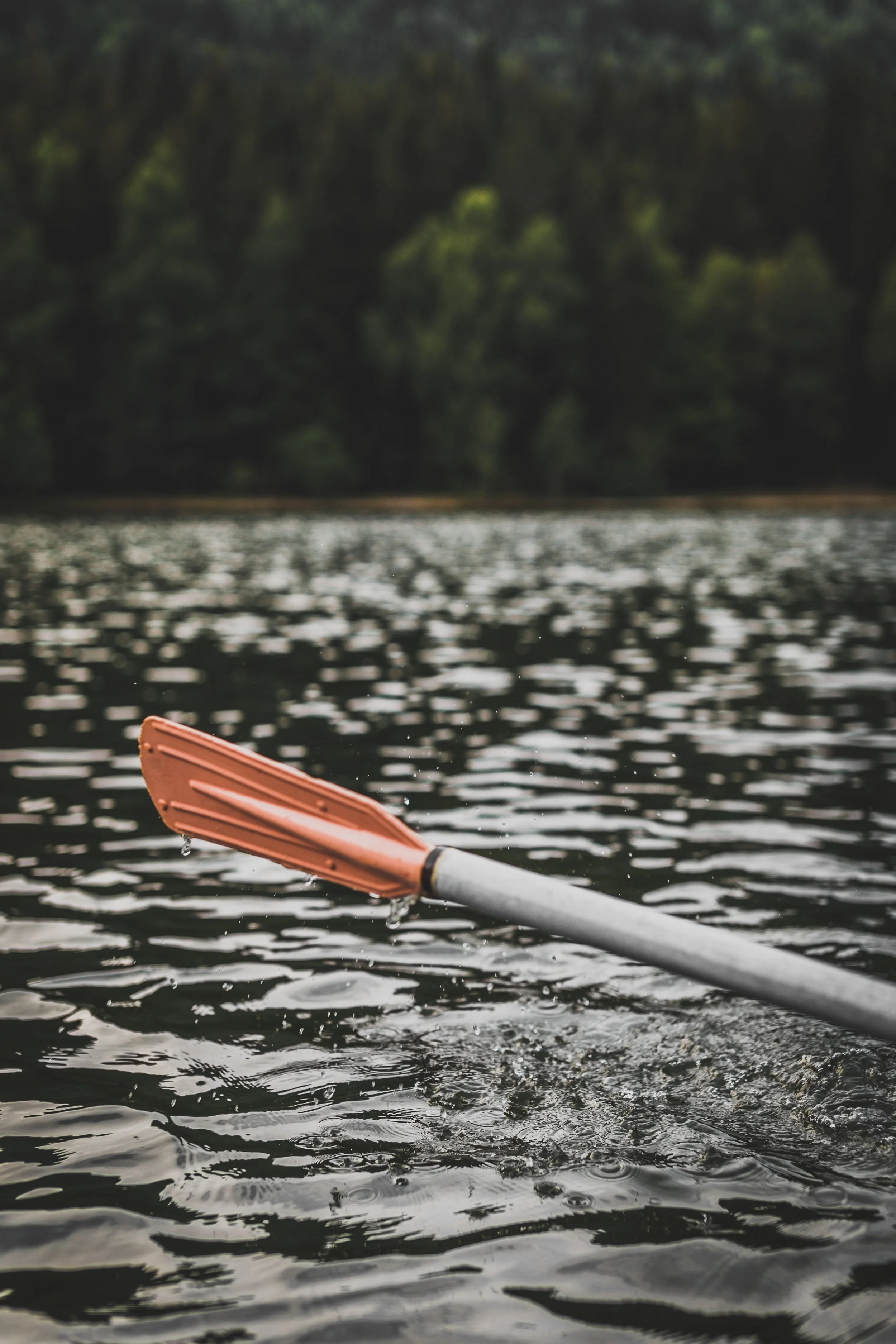 Photo courtesy of unsplash.com