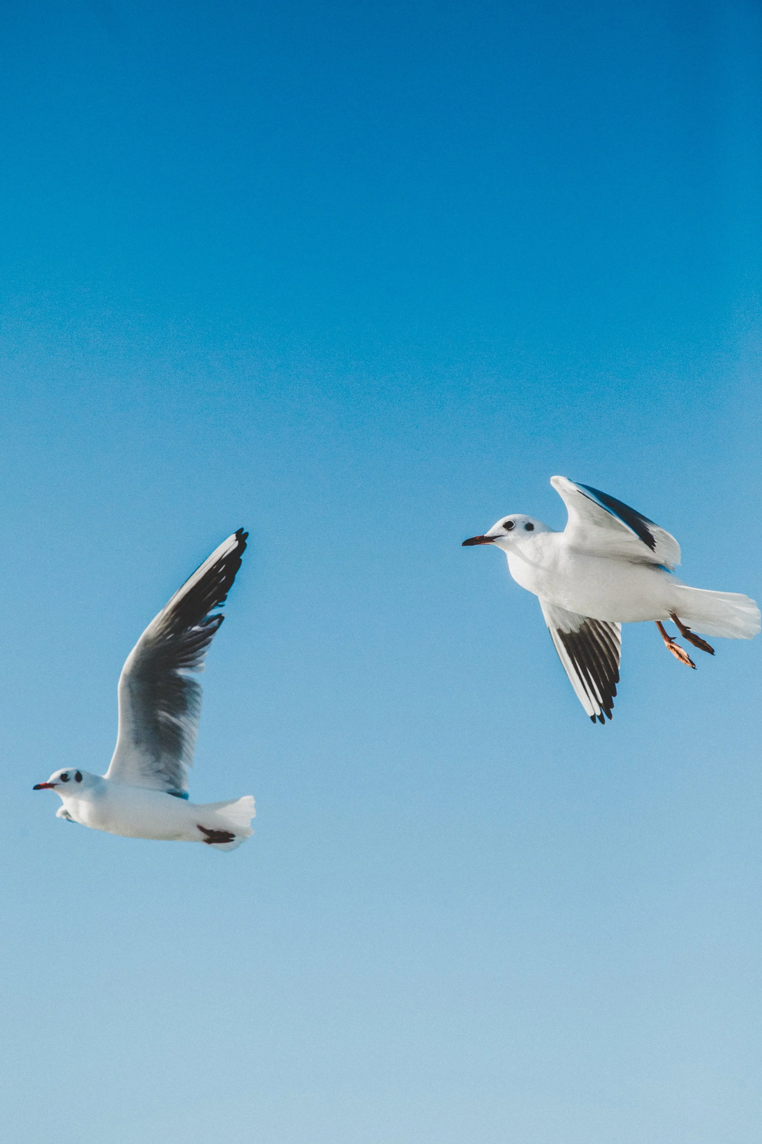 Photo by hiva sharifi on Unsplash