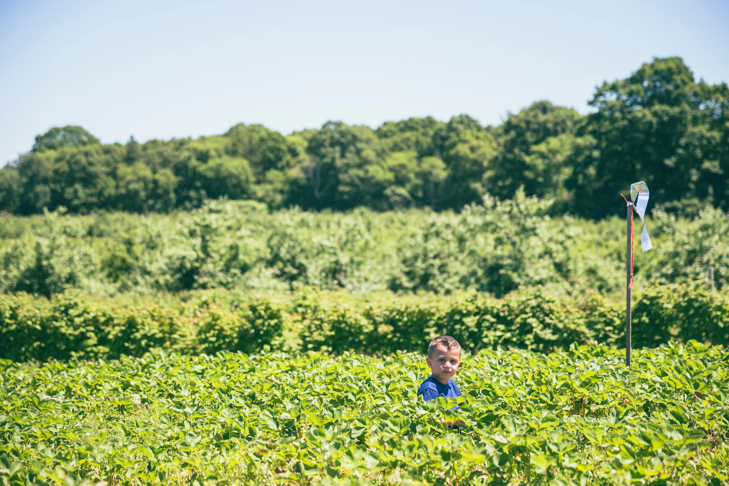 ICK_14.jpg
