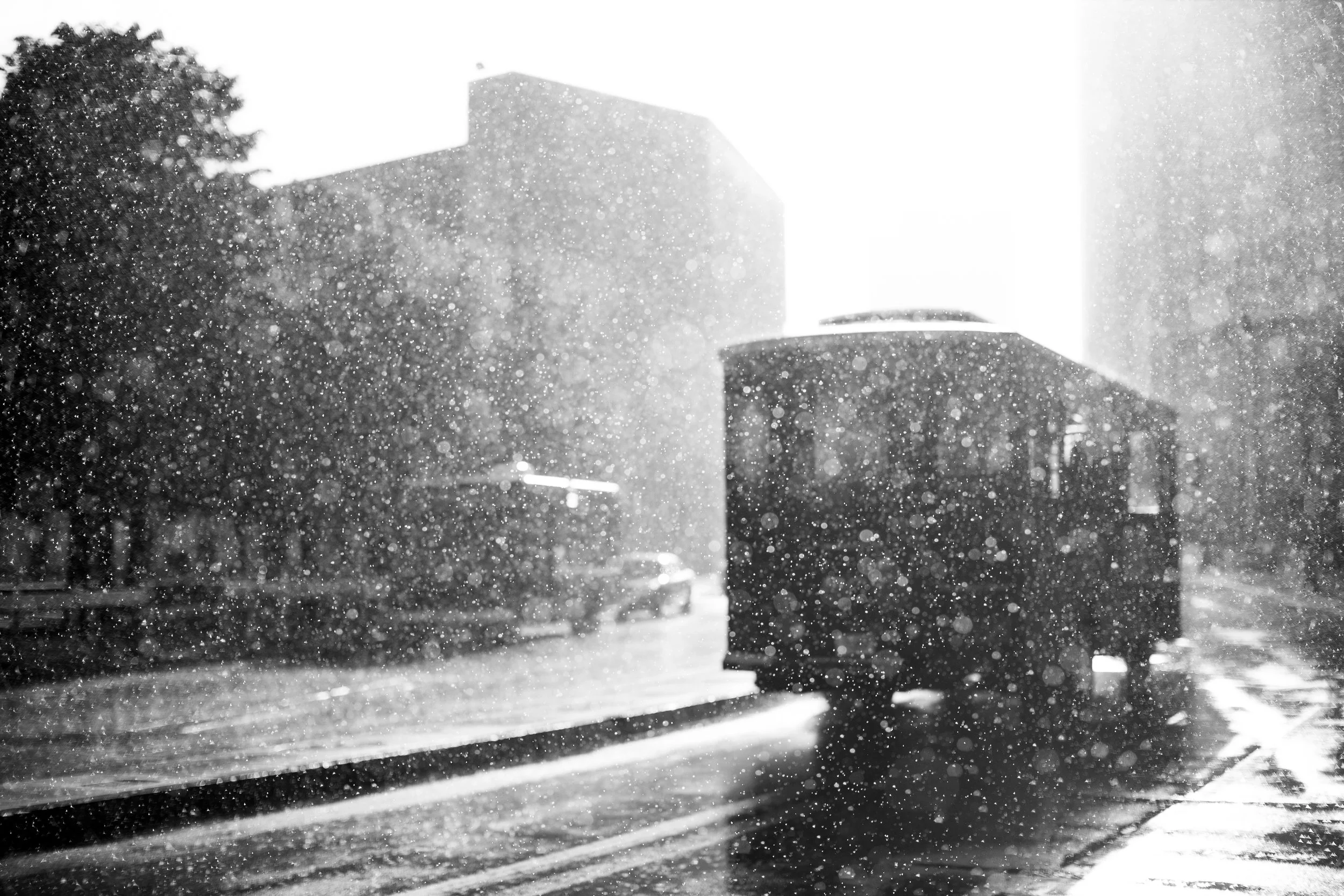 rainy_01.jpg