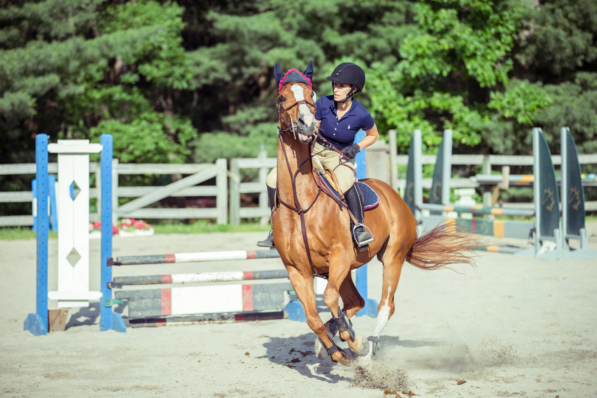 Riding_06.jpg