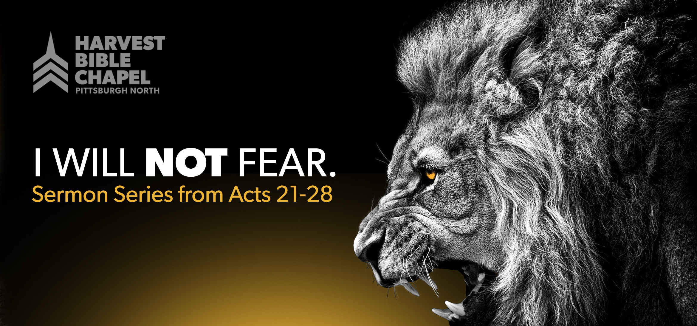 LION FEAR Website banner.jpg
