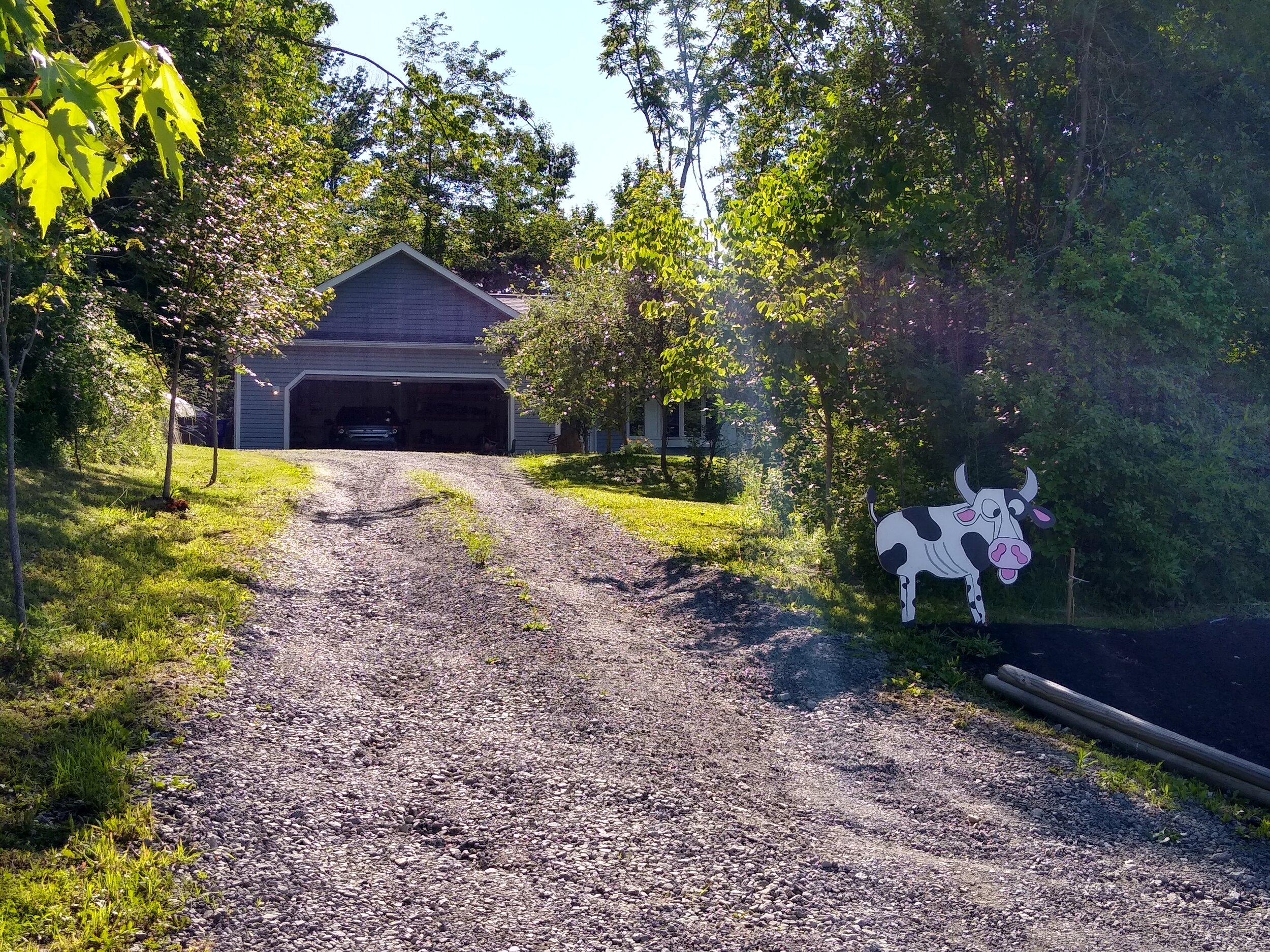 IMG_20210617_172750443_HDR.jpg