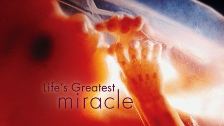 The Sanctity of Life