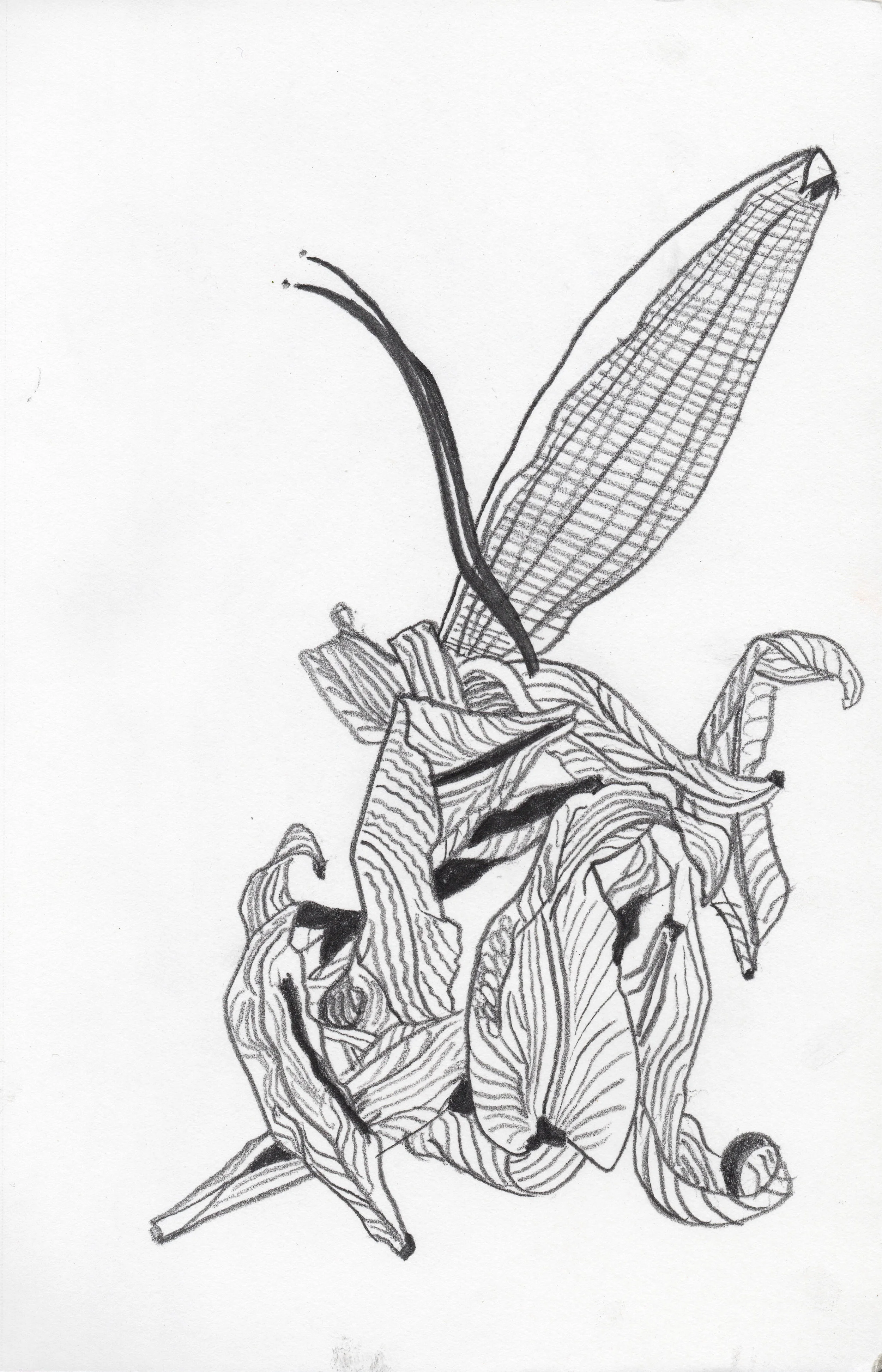 fleurs.jpg